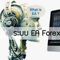 What is EA ? ระบบ ea forex คืออะไร ?