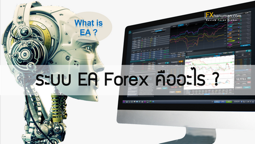 What is EA ? ระบบ ea forex คืออะไร ?