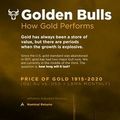 GOLD BULL RUNS