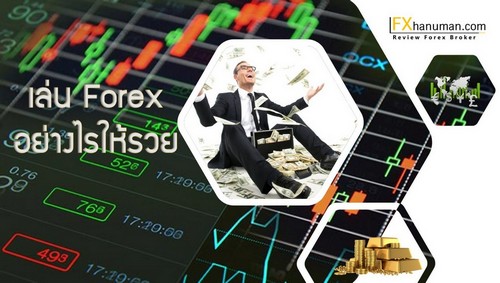 เล่น Forex อย่างไรให้รวย