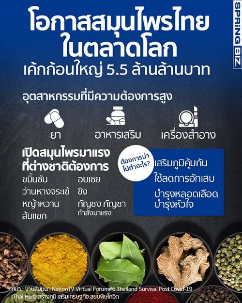 ส่องดูโอกาสตลาด "สมุนไพรไทย" ในตลาดโลก เค้กก้อนใหญ่ 5.5 ล้านล้านบาท