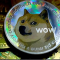  "อีลอน มัสก์" ทำตามสัญญา ไฟเขียวเทสลารับ Dogecoin จากลูกค้า 