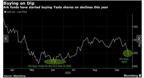 "Cathie Wood" ช้อนซื้อหุ้น Tesla ครั้งที่ 2 ในปีนี้ หลังราคาดิ่งมากสุดรอบ 4 เดือน