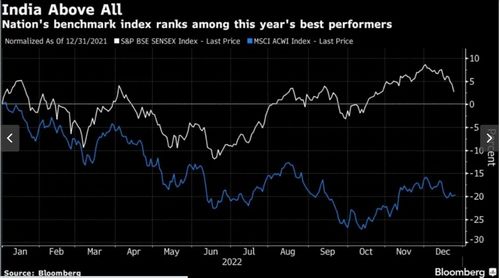 Adani Effect ขับเคลื่อน “หุ้นอินเดีย” แซงหน้าตลาดทั่วโลกในปี 2565