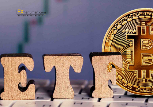 สถาบันลดถือ ETF Bitcoin ไตรมาสแรกปี 2025 ดิ่ง 23% — เอกชนเร่งสะสม BTC เข้าคลังสวนทาง