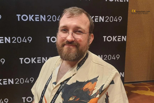 ชาร์ลส์ ฮอสกินสัน เสนอแผนใช้ ADA มูลค่า $100 ล้าน สนับสนุนระบบนิเวศ DeFi บน Cardano