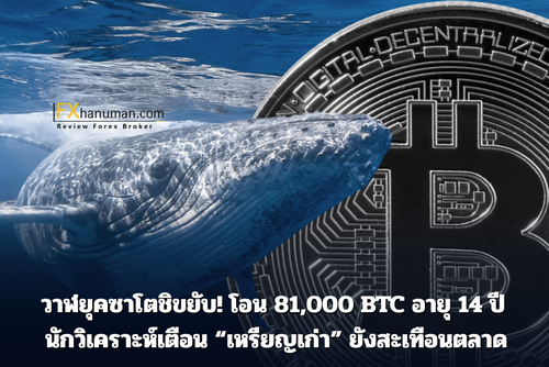 วาฬยุคซาโตชิขยับ! โอน 81,000 BTC อายุ 14 ปี นักวิเคราะห์เตือน “เหรียญเก่า” ยังสะเทือนตลาด
