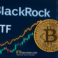 Harvard ทุ่ม 116 ล้านดอลลาร์ลงทุนใน BlackRock Bitcoin ETF หนุนพอร์ตสินทรัพย์ดิจิทัล