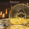 BitMine ซื้อเพิ่ม 46,255 ETH มูลค่า 201 ล้านดอลลาร์ ขึ้นแท่นบริษัทถือ Ethereum ใหญ่สุดของโลก