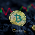 นักวิเคราะห์เตือน Bitcoin เสี่ยงย่อตัวแรง 20% ก่อนทำสถิติสูงสุดใหม่