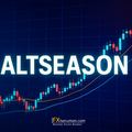 Altcoin พุ่งแรง! USDT Dominance ร่วงแตะจุดต่ำสุดในรอบปี – สัญญาณ ‘Altseason’ เริ่มชัด