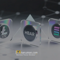 Bitwise และ Canary นำทัพ! สหรัฐฯ เตรียมเปิดเทรด ETF สำหรับ Solana, Litecoin และ Hedera สัปดาห์นี้